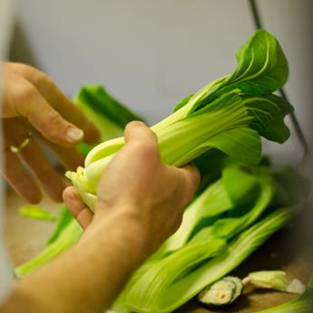 Fresh, hand picked ingredients...